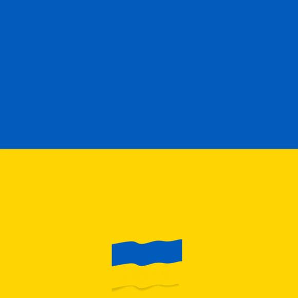 bdyzr76